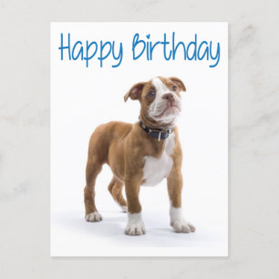 Carte Postale Joyeux Anniversaire Boxer Puppy Chien Postard