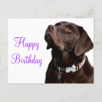 Joyeux anniversaire Brown Labrador Retriever Chien