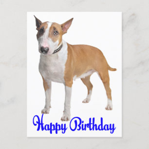 Carte Postale Joyeux Anniversaire Bull Terrier Chien chiot