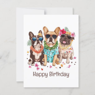 Carte Postale Joyeux Anniversaire Bulldogs Français Hawaïens Fle