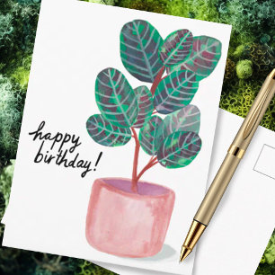 Carte Postale Joyeux Anniversaire Calathea Prayer Plant Aquarell