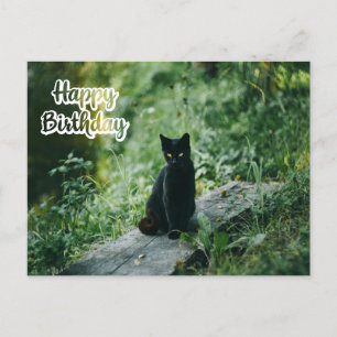 Carte Postale Joyeux Anniversaire Chat Noir Dehors 