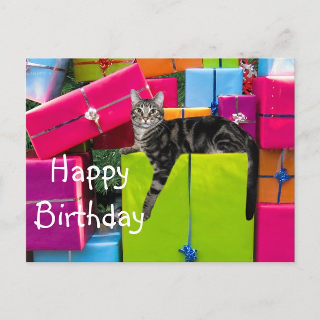 Carte Postale Joyeux anniversaire chat tigré (Devant)
