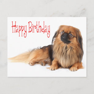 Carte Postale Joyeux Anniversaire Chien Chien Chien Rouge