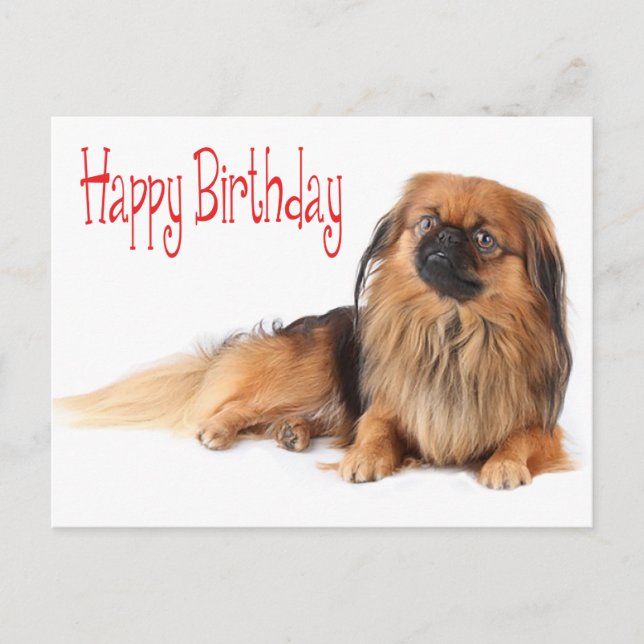 Carte Postale Joyeux Anniversaire Chien Chien Chien Rouge (Devant)