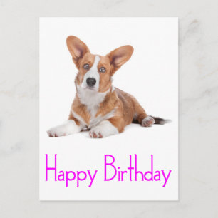 Carte Postale Joyeux Anniversaire Chien Chiot Corgi Gallois Car
