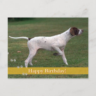 Carte Postale Joyeux anniversaire !   Chien de photo