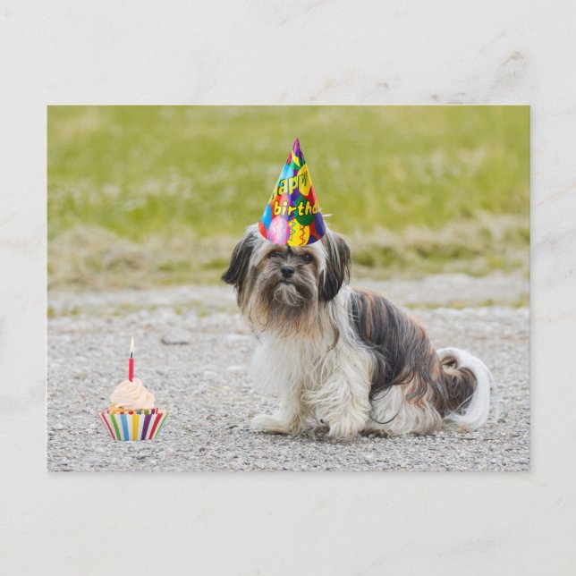 Carte Postale Joyeux Anniversaire Chien Mignon avec Cupcake (Devant)