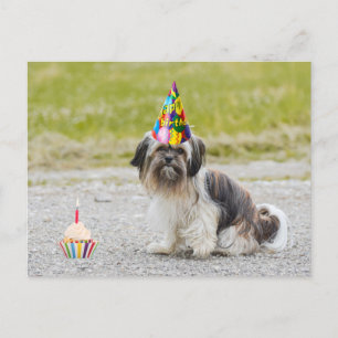 Carte Postale Joyeux Anniversaire Chien Mignon avec Gâteau