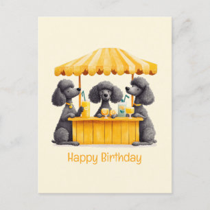 Carte Postale Joyeux Anniversaire Chiens Caniches Standards Stan