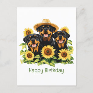 Carte Postale Joyeux Anniversaire Chiens Rottweiler Tournesols