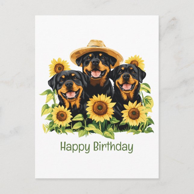 Carte Postale Joyeux Anniversaire Chiens Rottweiler Tournesols (Devant)