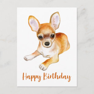 Cartes Postales Anniversaire Chiwawa Originales Zazzle Fr