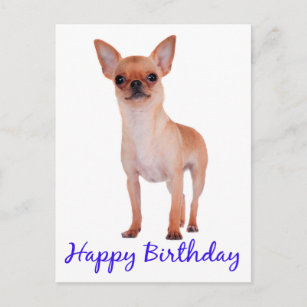 Cartes Chiwawa D Anniversaire Zazzle Fr