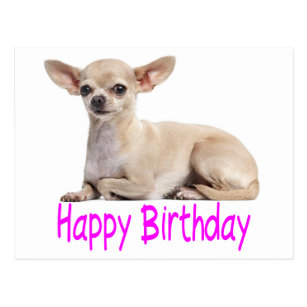 Cartes Postales Anniversaire Chiwawa Originales Zazzle Fr