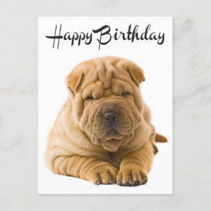 Carte Postale Joyeux Anniversaire Chinois Shar Pei Chien Chien C