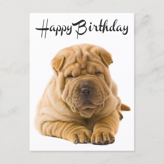 Carte Postale Joyeux Anniversaire Chinois Shar Pei Chien Chien C Zazzle Fr