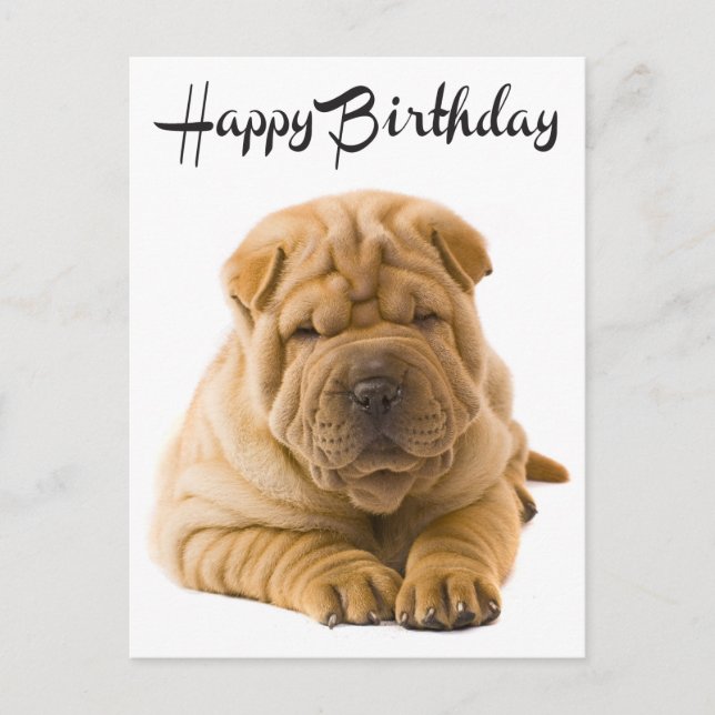 Carte Postale Joyeux Anniversaire Chinois Shar Pei Chien Chien C (Devant)