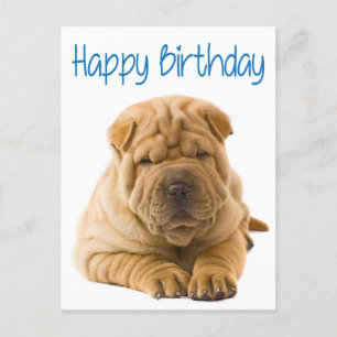 Carte Postale Joyeux Anniversaire Chinois Shar Pei Chien Chien C