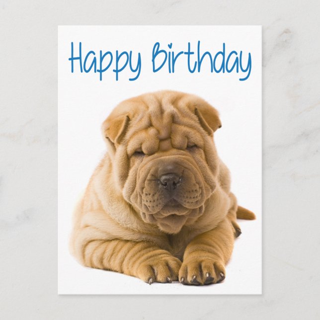 Carte Postale Joyeux Anniversaire Chinois Shar Pei Chien Chien C (Devant)