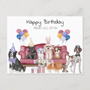 Carte Postale Joyeux Anniversaire Chiots Mignons 