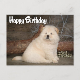 Carte postale Joyeux Anniversaire Chow Chow Chien 