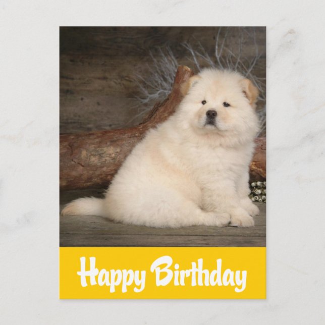 Carte Postale Joyeux Anniversaire Chow Chow Chien Chien Chien Ja (Devant)