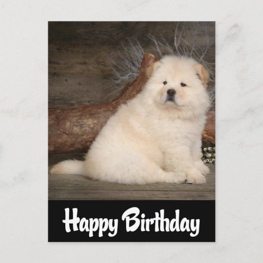 Carte Postale Joyeux Anniversaire Chow Chow Chien Chien Chien No Zazzle Fr Carte Postale Joyeux Anniversaire Chow Chow Chien Chien Chien No Zazzle Fr