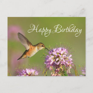 Carte Postale Joyeux Anniversaire Colibri