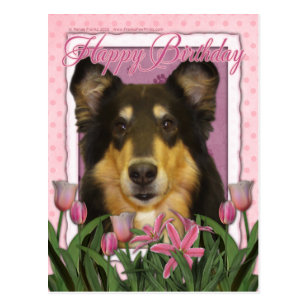 Carte Postale Joyeux Anniversaire Colley Caroline Zazzle Fr