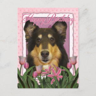 Carte Postale Joyeux anniversaire - Collie - Caroline