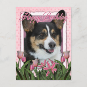 Carte Postale Joyeux anniversaire - Corgi