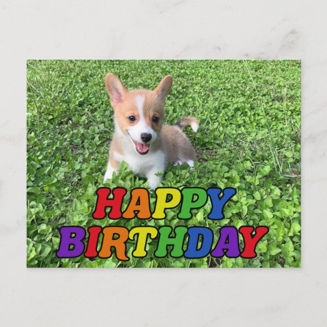 Carte Postale Joyeux Anniversaire Cute Corgi Puppy Photo (Devant)