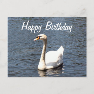 Carte Postale Joyeux Anniversaire cygne blanc