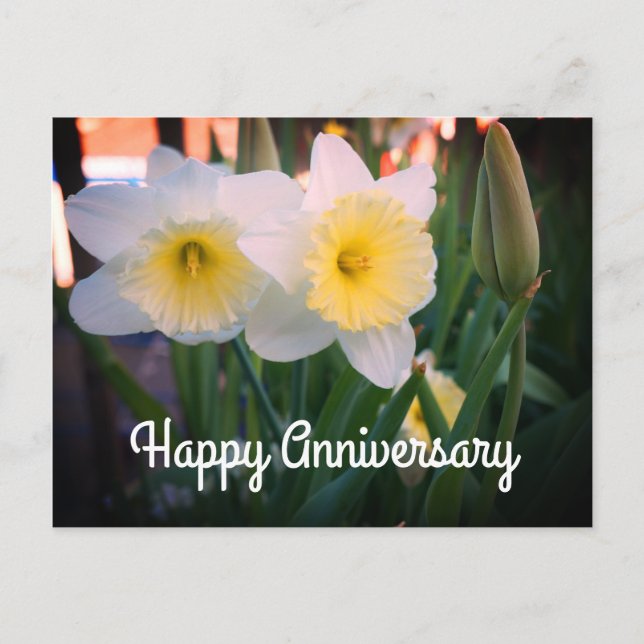 Carte postale Joyeux Anniversaire Daffodil (Devant)