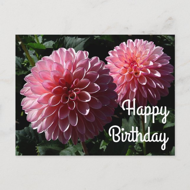 Carte postale Joyeux Anniversaire Dahlia Valley Po (Devant)