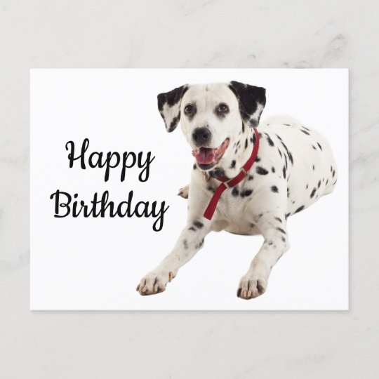 Carte Postale Joyeux Anniversaire Dalmatien Amoureux Des Chiens Zazzle Fr