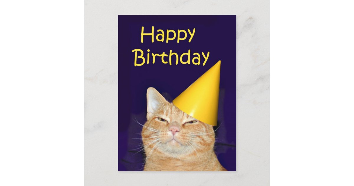 Carte Postale Joyeux Anniversaire De Chat Heureux Zazzle Fr