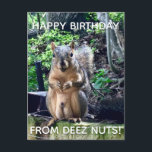 Carte Postale Joyeux anniversaire de Deez Nuts Funny Squirrel Ph<br><div class="desc">Joyeux anniversaire de DEEZ NUTS ! Un écureuil hilarant joue avec des mots qui plaisantent sur ses noix. Humour brut sur la carte postale d'anniversaire pour adulte. Faites rire vos amis avec cette citation pop culture.</div>