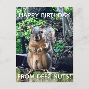 Carte Postale Joyeux Anniversaire de Deez Nuts Photo drôle d'écu