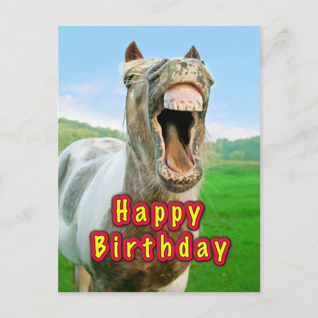 Carte Postale Joyeux anniversaire de la Happy horse (Devant)