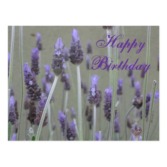 Carte Postale Joyeux Anniversaire De Lavande Zazzle Fr