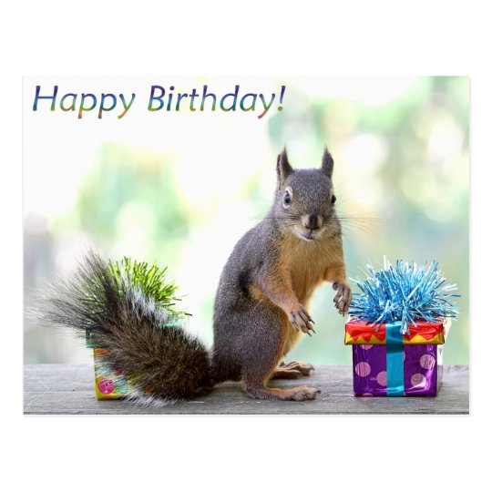 Carte Postale Joyeux Anniversaire D Ecureuil Zazzle Fr