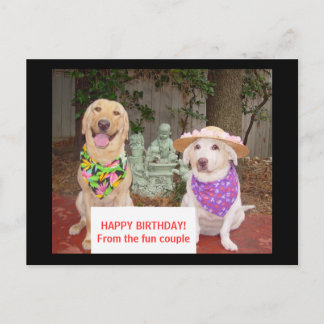 Carte Postale JOYEUX ANNIVERSAIRE ! Des couples d'amusement