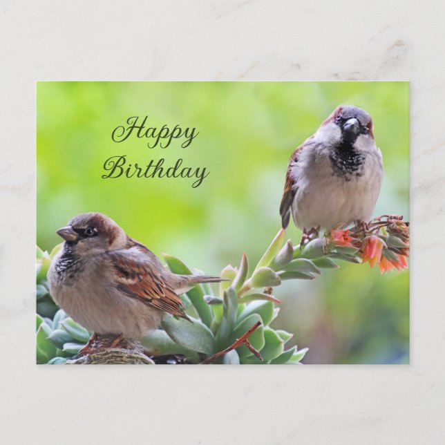 Carte Postale Joyeux Anniversaire Deux Oiseaux Moineaux Mignons  (Devant)