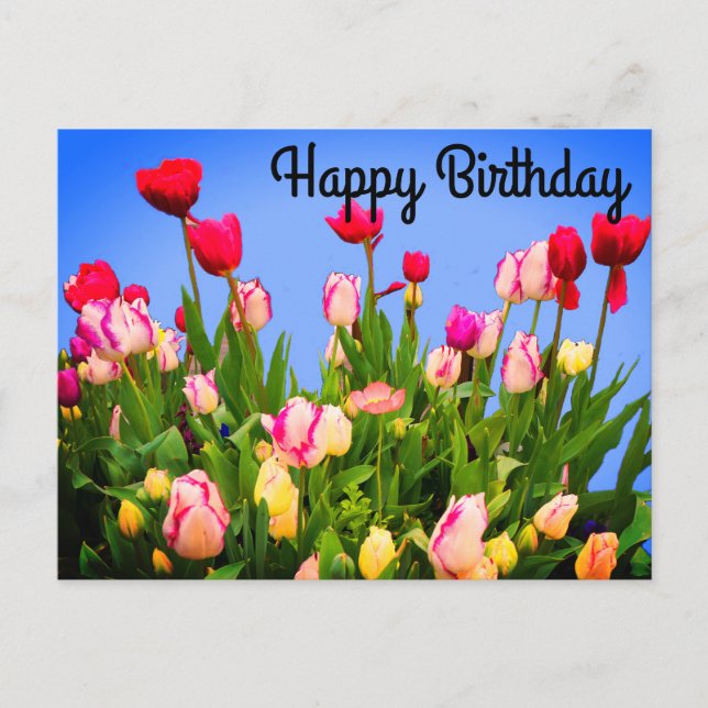 Carte postale Joyeux Anniversaire Divers Tulipes # (Devant)