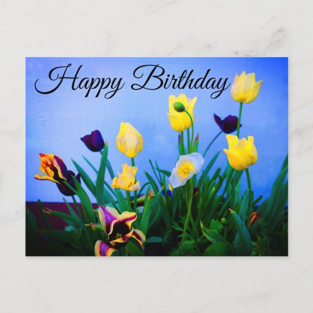 Carte postale Joyeux anniversaire diverses tulipes (Devant)