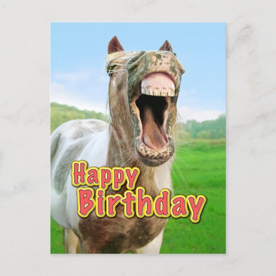 Carte Postale Joyeux Anniversaire Du Cheval Heureux Zazzle Fr