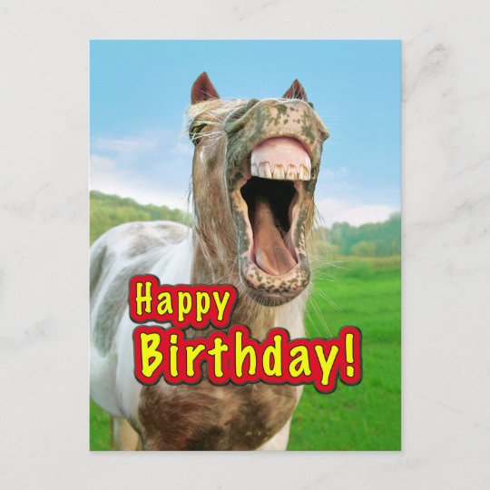 Carte Postale Joyeux Anniversaire Du Cheval Heureux Zazzle Fr