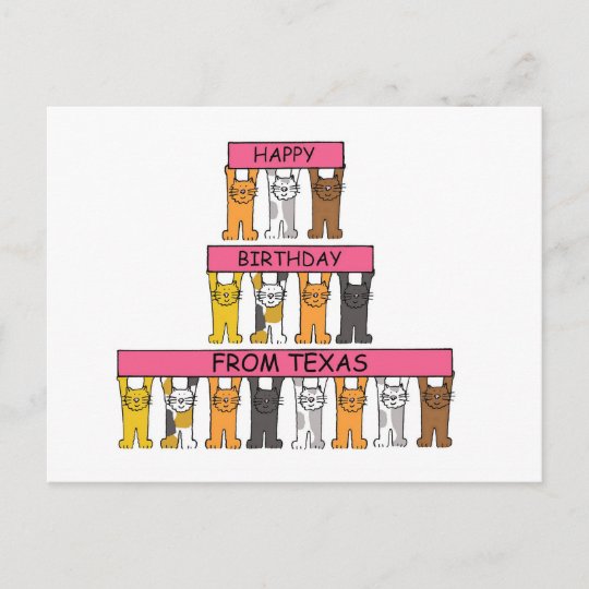 Carte Postale Joyeux Anniversaire Du Texas Chats De Bande Zazzle Fr